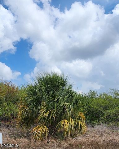 357 Neighborly RD, Labelle, FL 33935