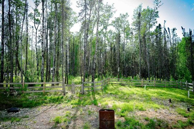 5050 N Gold Mint Drive, Wasilla, AK 99654