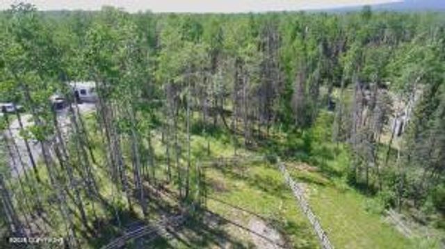 5050 N Gold Mint Drive, Wasilla, AK 99654