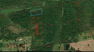 0 Fm-770, Liberty, TX 77575