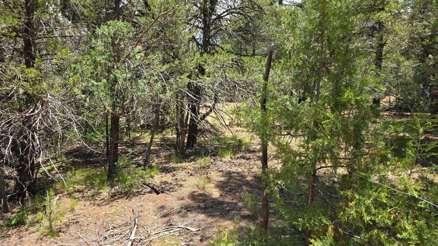 68 Anaya Road, Tijeras, NM 87059