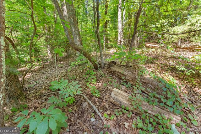 0 Raspberry Lane 1502, Clarkesville, GA 30523