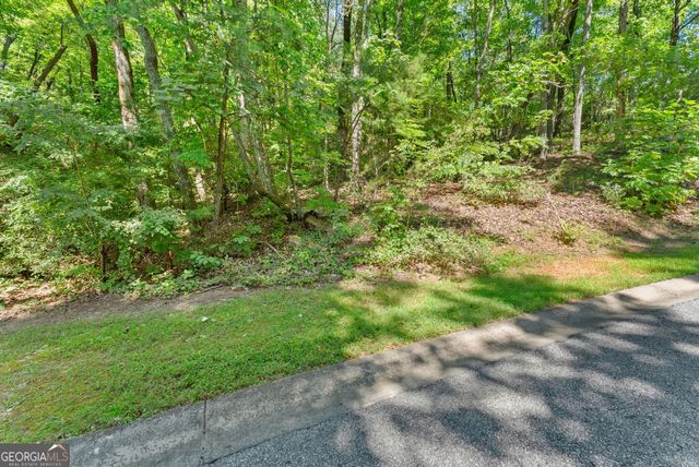 0 Raspberry Lane 1502, Clarkesville, GA 30523