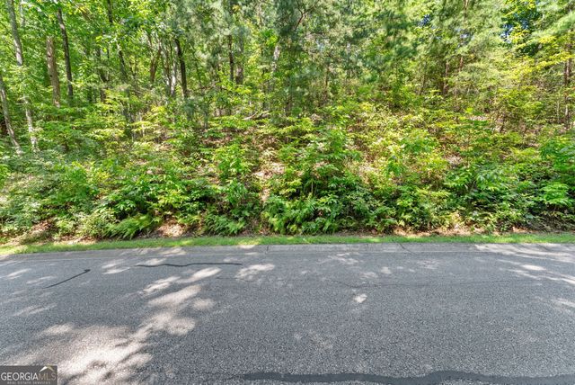 0 Raspberry Lane 1502, Clarkesville, GA 30523