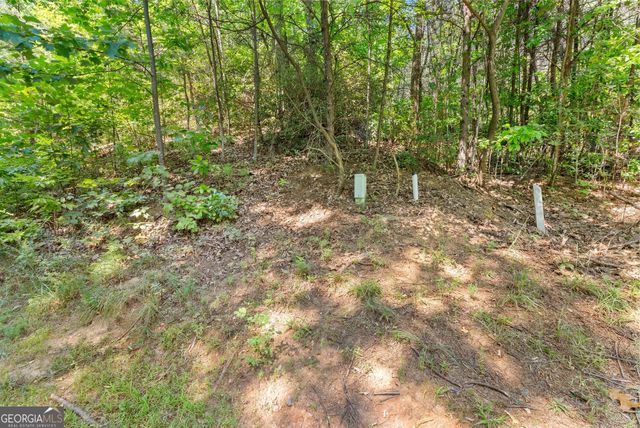 0 Raspberry Lane 1502, Clarkesville, GA 30523