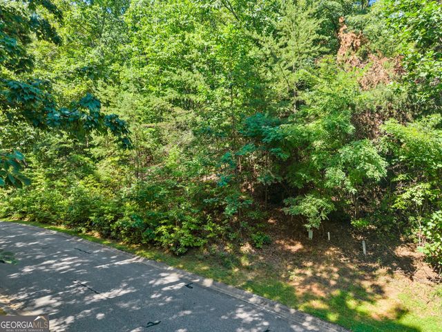 0 Raspberry Lane 1502, Clarkesville, GA 30523