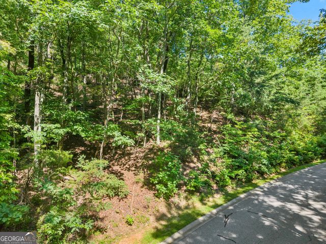 0 Raspberry Lane 1502, Clarkesville, GA 30523
