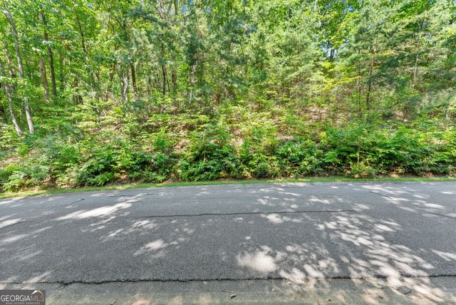 0 Raspberry Lane 1502, Clarkesville, GA 30523