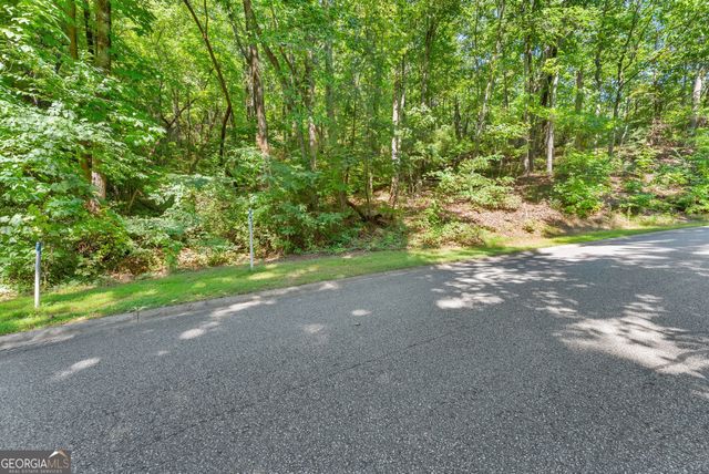 0 Raspberry Lane 1502, Clarkesville, GA 30523