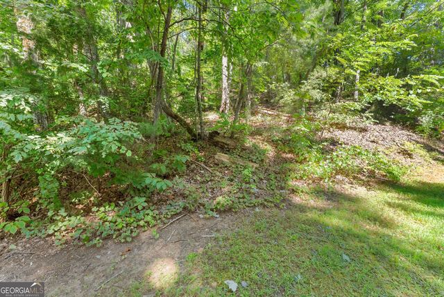 0 Raspberry Lane 1502, Clarkesville, GA 30523
