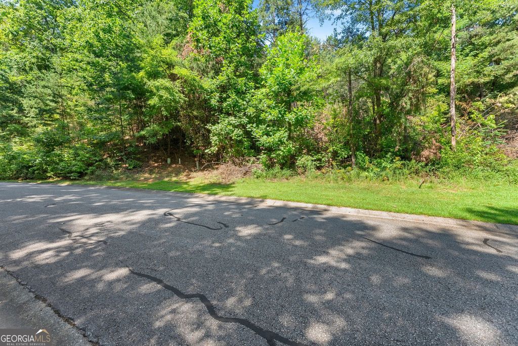 0 Raspberry Lane 1502, Clarkesville, GA 30523