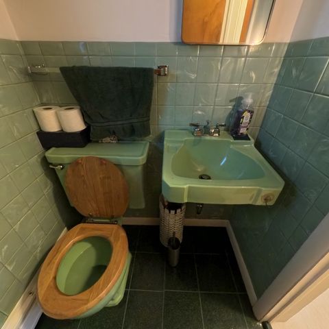 444 Wilber Road, Baldwin Twp, MI 48763