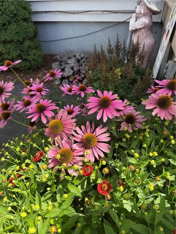 48 South Main Street, Sherburne, NY 13460