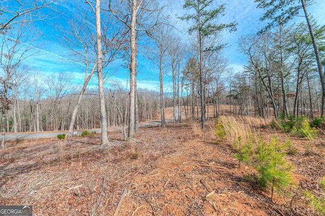 LOT 61 Ridges Drive, Blue Ridge, GA 30513