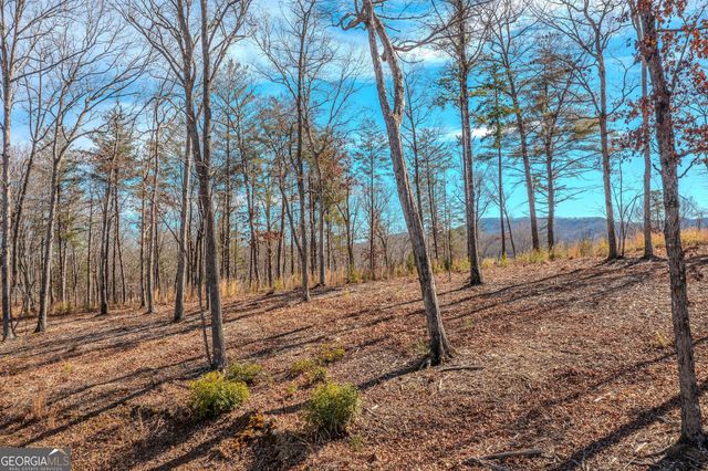 LOT 61 Ridges Drive, Blue Ridge, GA 30513