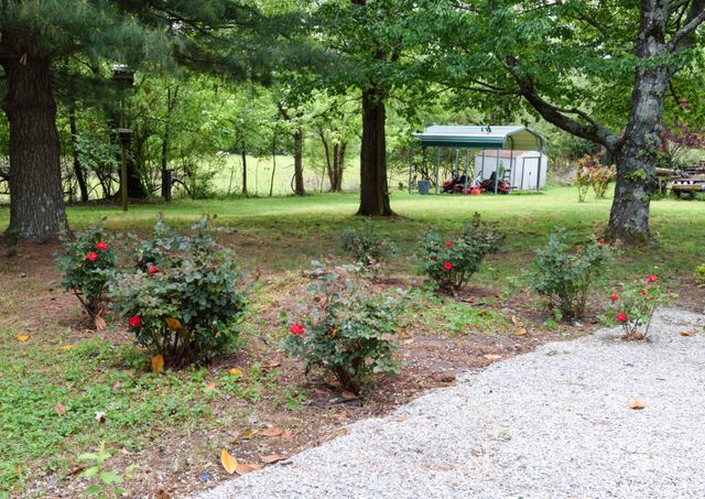 819 Hwy 52E, Portland, TN 37148