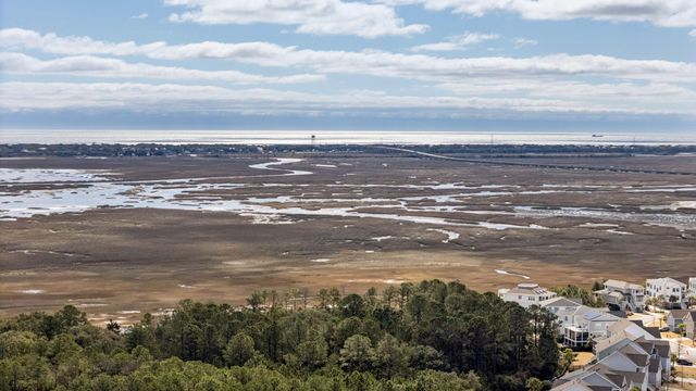 1478 Fort Palmetto Circle, Mount Pleasant, SC 29466