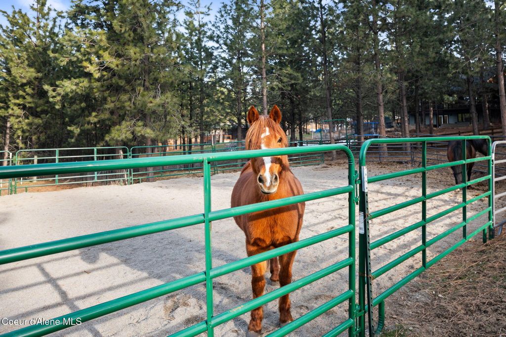 477 S Prestige CT, Post Falls, ID 83854 photo 45