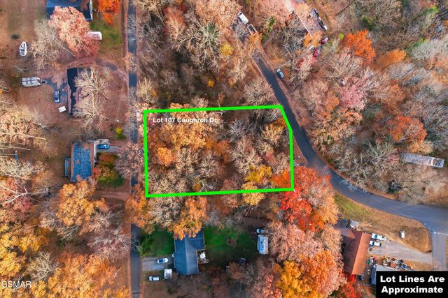 Lot 107 Caughron Drive, Sevierville, TN 37876