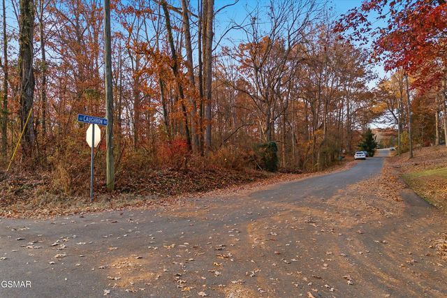 Lot 107 Caughron Drive, Sevierville, TN 37876