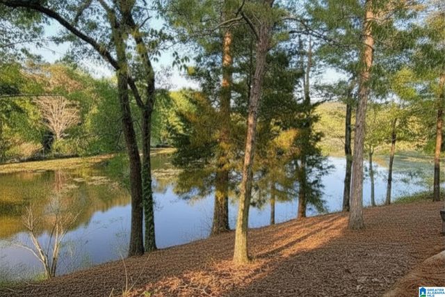 488 SULPHUR CREEK LANE, Sylacauga, AL 35151