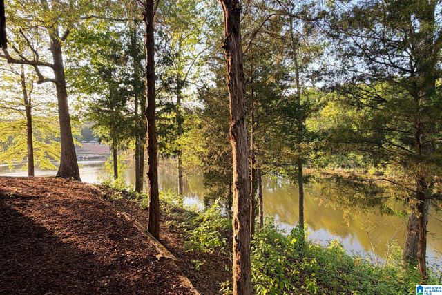 488 SULPHUR CREEK LANE, Sylacauga, AL 35151