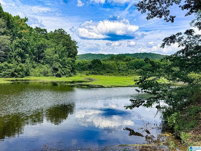 488 SULPHUR CREEK LANE, Sylacauga, AL 35151