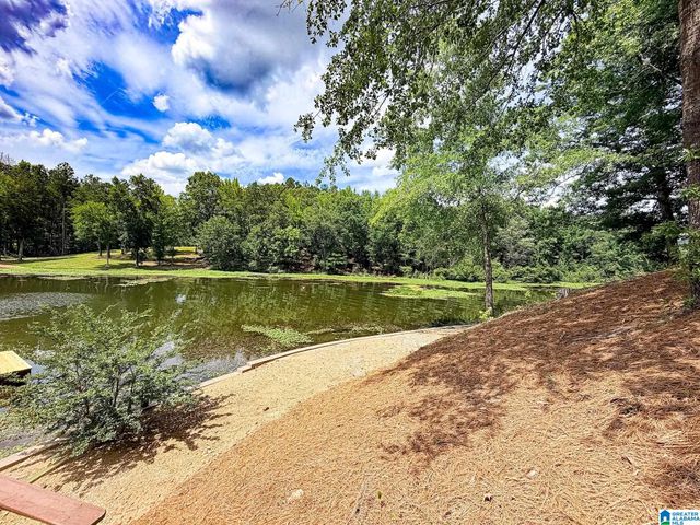 488 SULPHUR CREEK LANE, Sylacauga, AL 35151