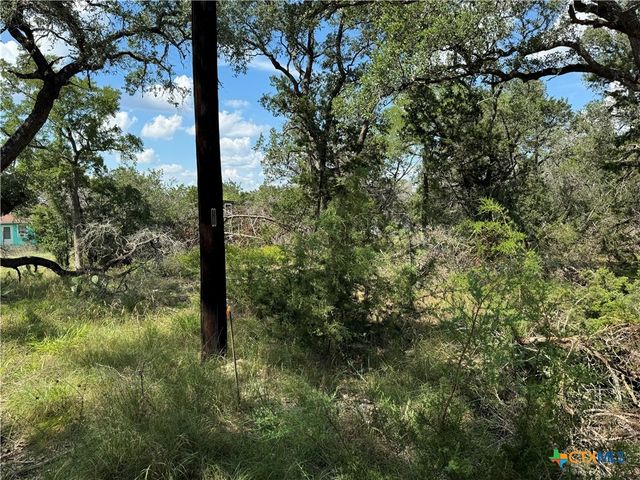 2869 Western Skies Drive, Spring Branch, TX 78070