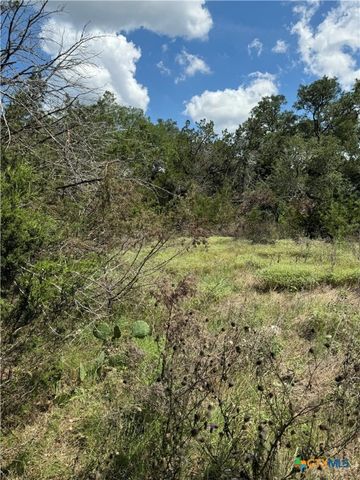 2869 Western Skies Drive, Spring Branch, TX 78070