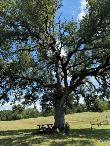 2869 Western Skies Drive, Spring Branch, TX 78070