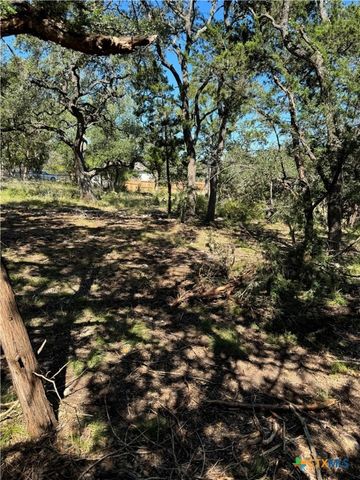 2869 Western Skies Drive, Spring Branch, TX 78070