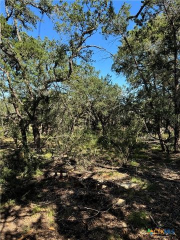 2869 Western Skies Drive, Spring Branch, TX 78070