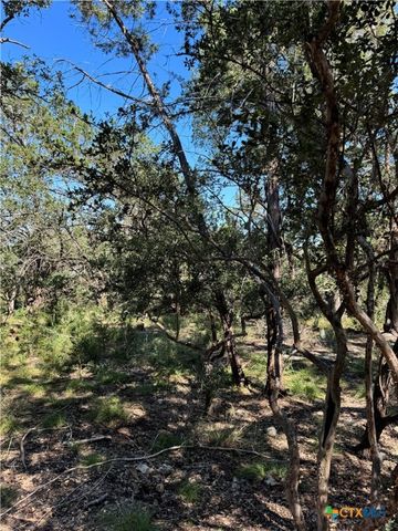 2869 Western Skies Drive, Spring Branch, TX 78070