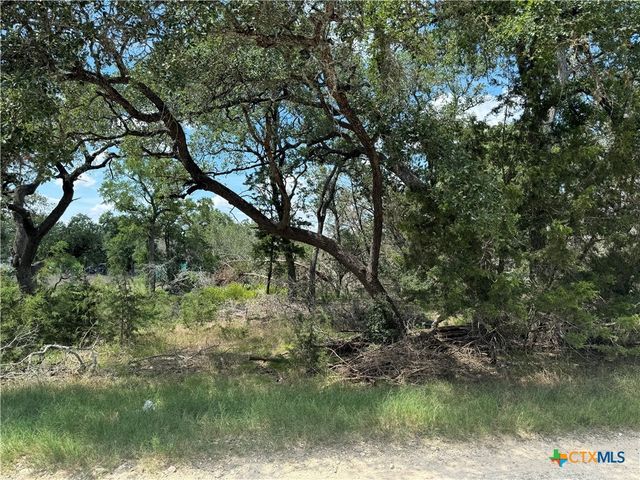 2869 Western Skies Drive, Spring Branch, TX 78070
