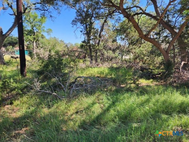 2869 Western Skies Drive, Spring Branch, TX 78070