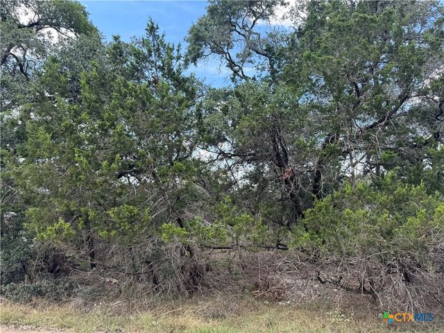 2869 Western Skies Drive, Spring Branch, TX 78070