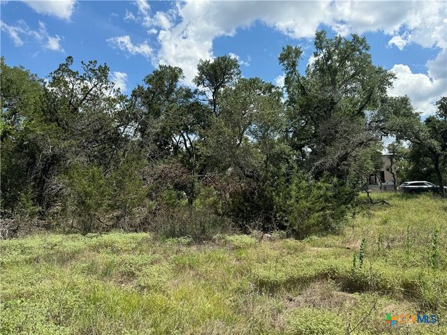 2869 Western Skies Drive, Spring Branch, TX 78070