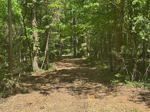 10515 Paw Paw Springs Rd, Arrington, TN 37014