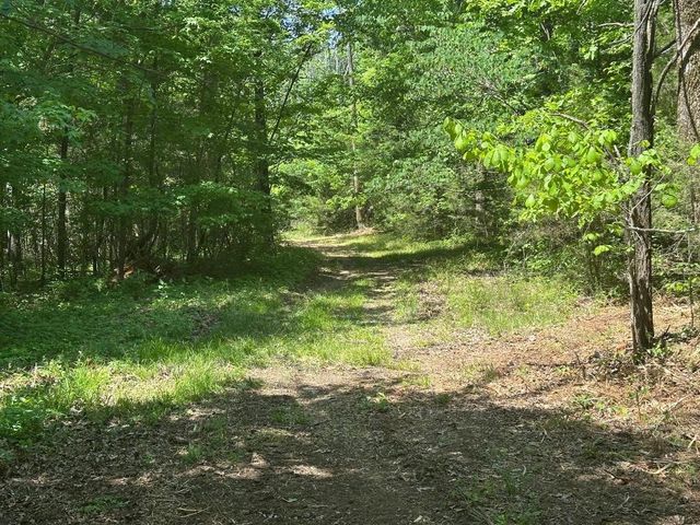 10515 Paw Paw Springs Rd, Arrington, TN 37014