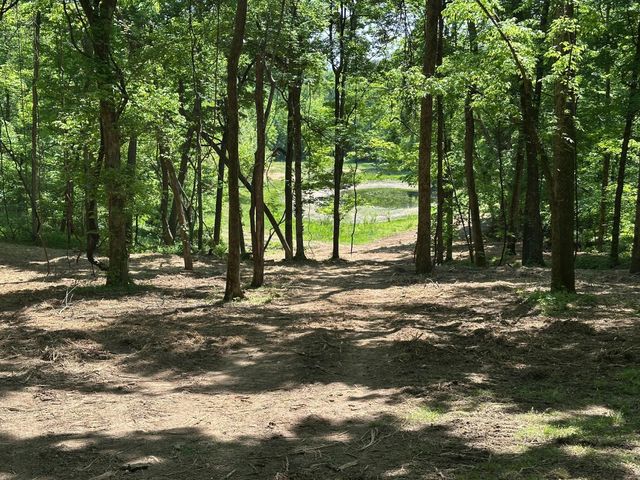 10515 Paw Paw Springs Rd, Arrington, TN 37014