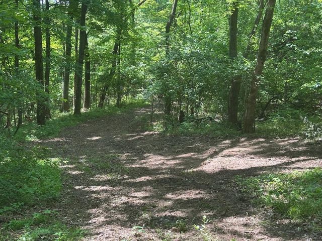 10515 Paw Paw Springs Rd, Arrington, TN 37014
