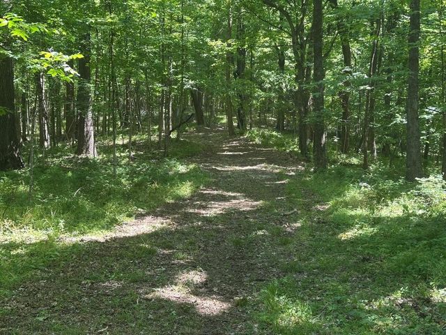 10515 Paw Paw Springs Rd, Arrington, TN 37014