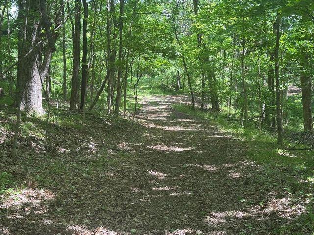 10515 Paw Paw Springs Rd, Arrington, TN 37014