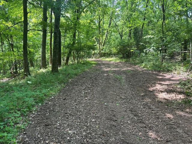 10515 Paw Paw Springs Rd, Arrington, TN 37014