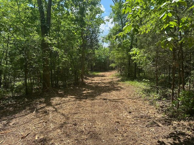10515 Paw Paw Springs Rd, Arrington, TN 37014