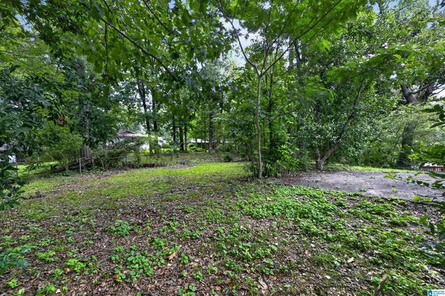 253 GLYNN DRIVE, Birmingham, AL 35215