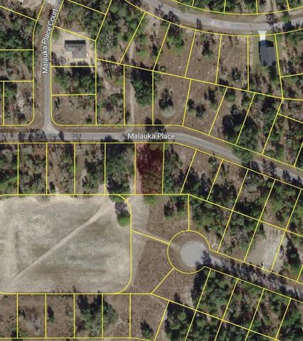 MALAUKA PLACE, Ocklawaha, FL 32179