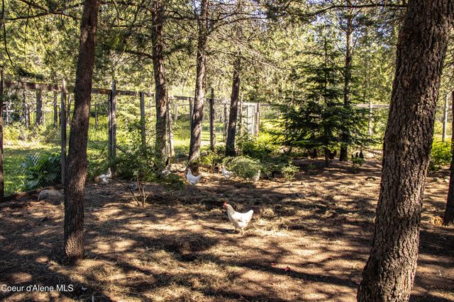 871 Foothill DR, Athol, ID 83801