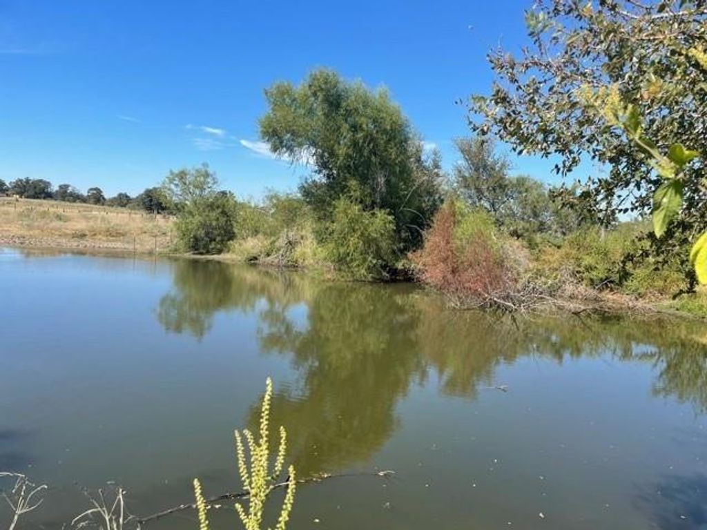 200 Hershal LN, Cedar Creek, TX 78612